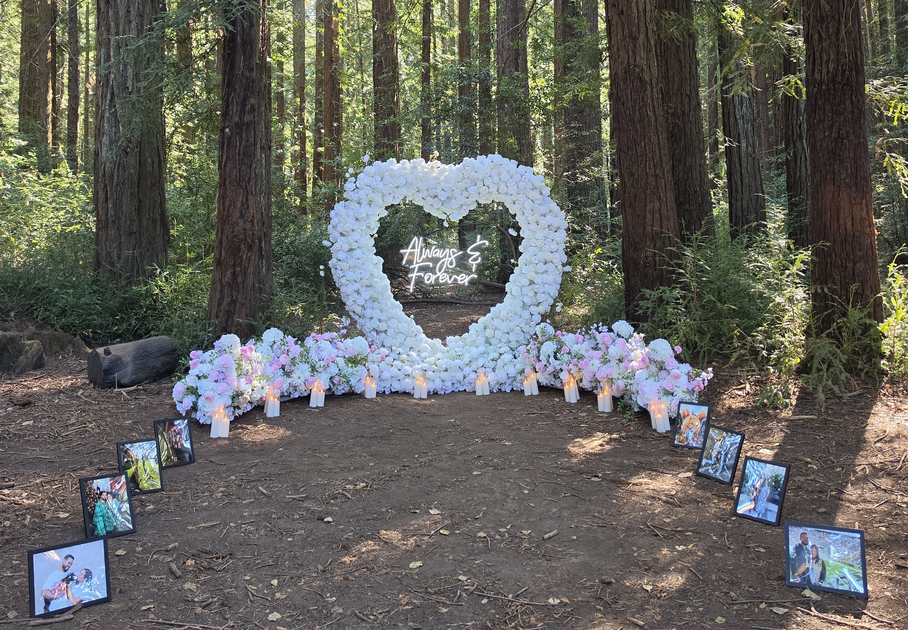 The Blooming Heart – white floral heart arch with blush grounded florals and a memory photo walkway in Oakland